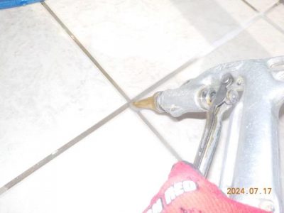 DSCN4311.jpg