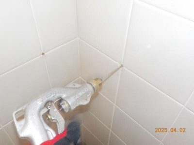 DSCN4845.jpg