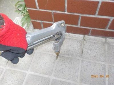 DSCN4889.jpg