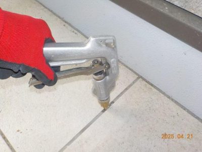 DSCN4907.jpg