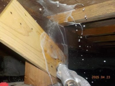 DSCN4930.jpg