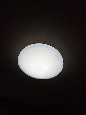 IMG_1271.jpg