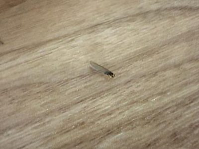 IMG_1290.jpg