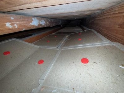 IMG_1948.jpg