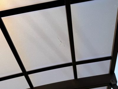 IMG_1977.jpg