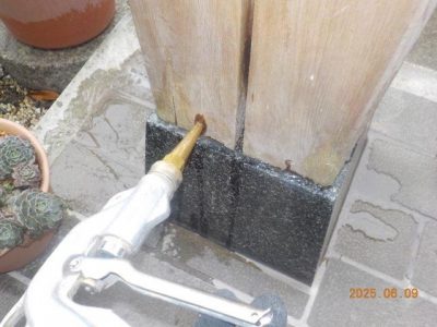 DSCN5095.jpg