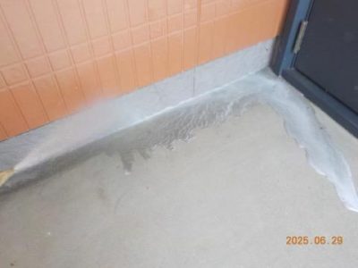 DSCN5161.jpg