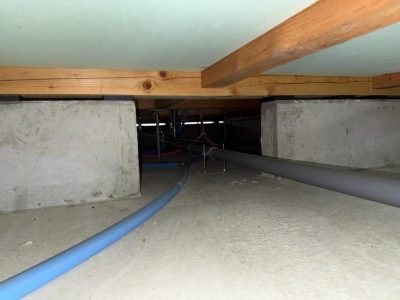 IMG_3174.jpg