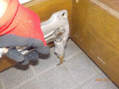 DSCN5185.jpg