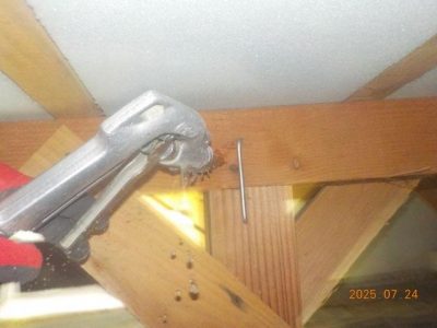 DSCN5194.jpg