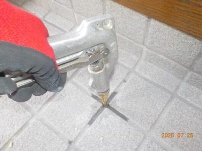 DSCN5204.jpg