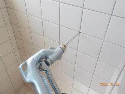 DSCN5210.jpg