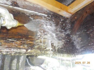 DSCN5220.jpg