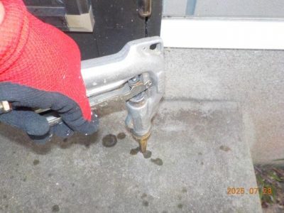 DSCN5226.jpg