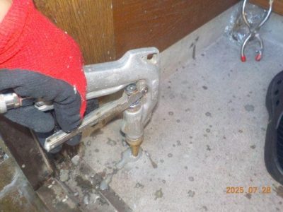 DSCN5227.jpg