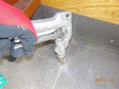 DSCN5229.jpg