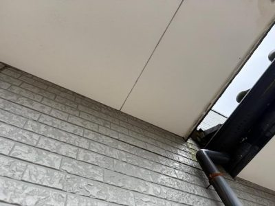 IMG_3598.jpg