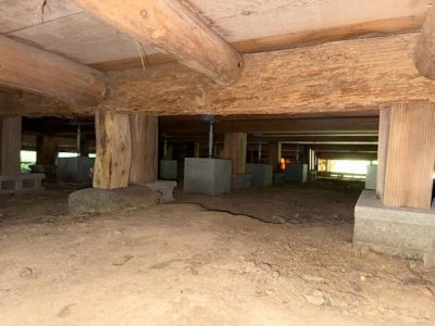 IMG_3621.jpg