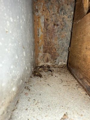 IMG_3704.jpg