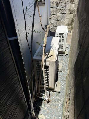 IMG_3847.jpg