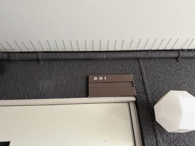 IMG_4313.jpg