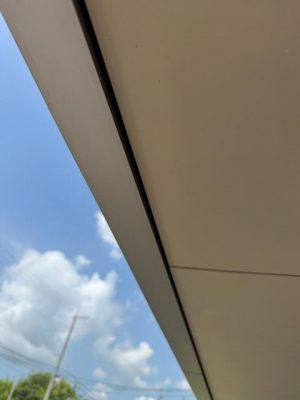 IMG_4792.jpg