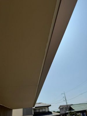 IMG_4799.jpg