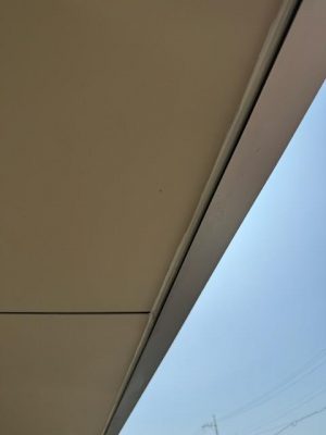 IMG_4800.jpg
