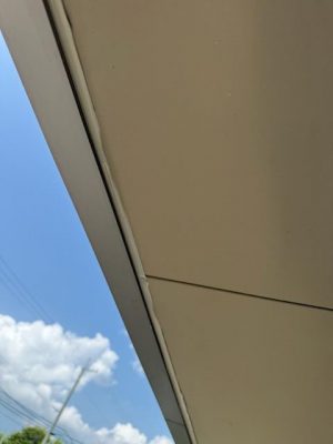 IMG_4801.jpg
