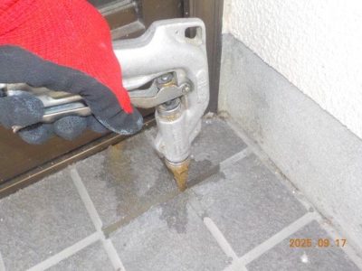 DSCN5239.jpg