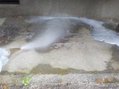 DSCN5243.jpg