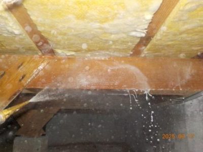 DSCN5250.jpg