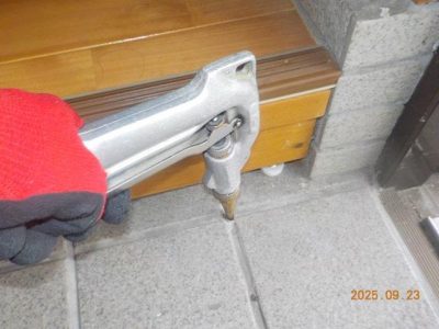 DSCN5261.jpg