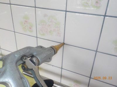 DSCN5268.jpg