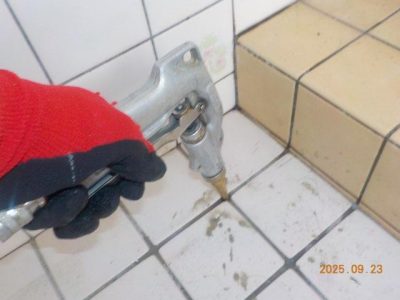 DSCN5269.jpg