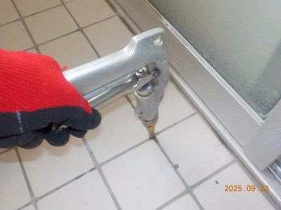 DSCN5270.jpg