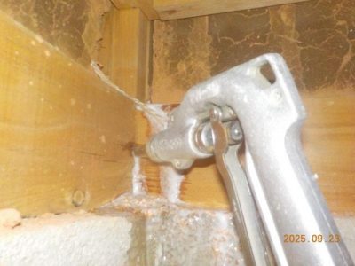 DSCN5272.jpg